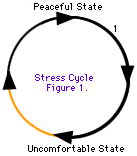 The cycle of stress is moving from a peaceful state to an uncomfortable state and back to a peaceful state