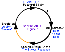 Some stress cycles are easier to move through than others.