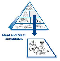 Meat Pyramid