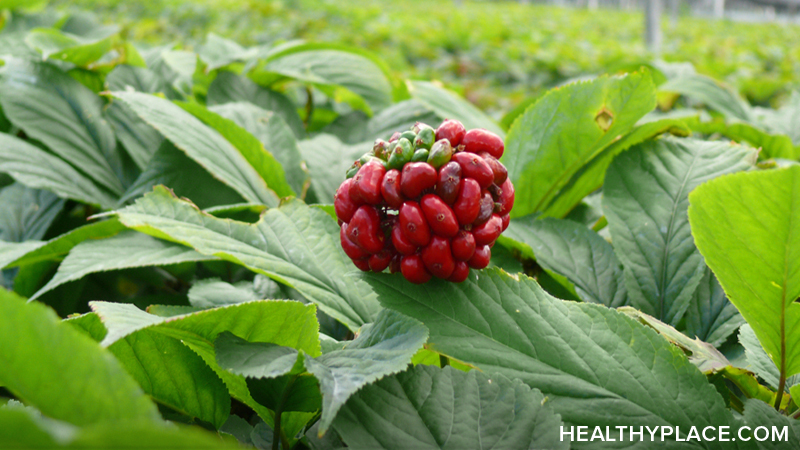 Get detailed information on American Ginseng a natural remedy for depression, a herbal remedy for adhd. Covers Ginseng and Antidepressants, MAOIs.