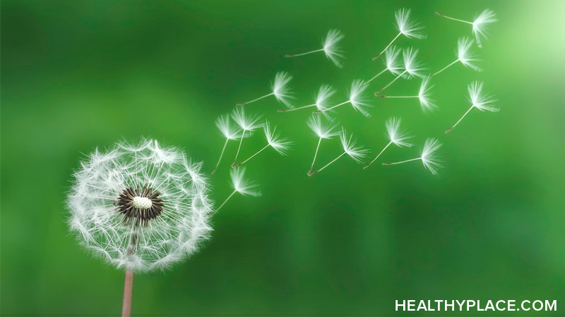 Dandelion is an herbal remedy used as an appetite stimulant, digestive aid and natural diuretic. Learn about the usage, dosage, side-effects of Dandelion.