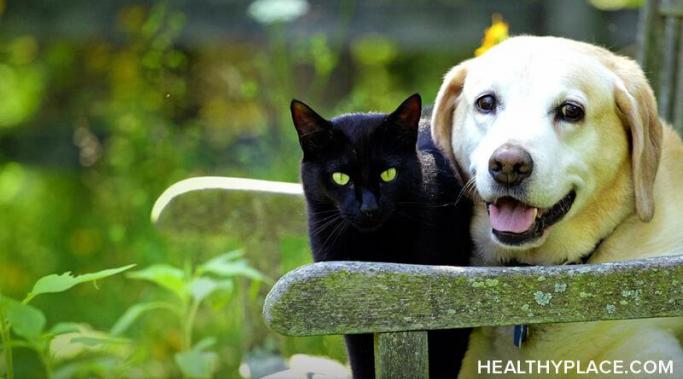 Pets help with anxiety and depression, even for those who have dissociative identity disorder. Learn how pets can help with depression and anxiety at HealthyPlace.