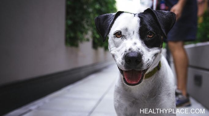 There are many mental health benefits of having a dog. Find out why having a dog is a must for my mental health at HealthyPlace.