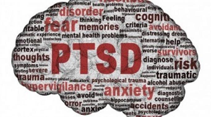 Trauma affects the brain differently in people who develop PTSD. But don't worry, recovery happens. Learn how PTSD sufferers' brains work when facing trauma. 