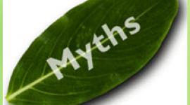 Six myths surround stress. Dispelling them enables us to understand our problems and then take action against them. Read about these myths here.