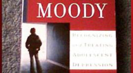 Dr. Harold Koplewicz, author of More Than Moody, on recognizing and treating adolescent depression. He says talk therapy helps depressed teenagers.