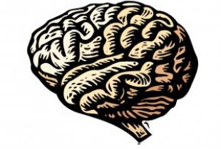 Trauma affects your brain, but healing PTSD is more likely than ever. Learn how trauma affects the brain and how neuroplasticity helps you recover. Read this.