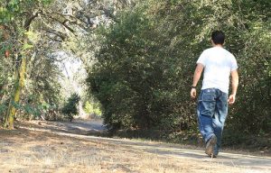 Walking meditation , walking that is just walking, with a mind as fully alive as you can let happen, is a great stress management activity. Learn how to do it.