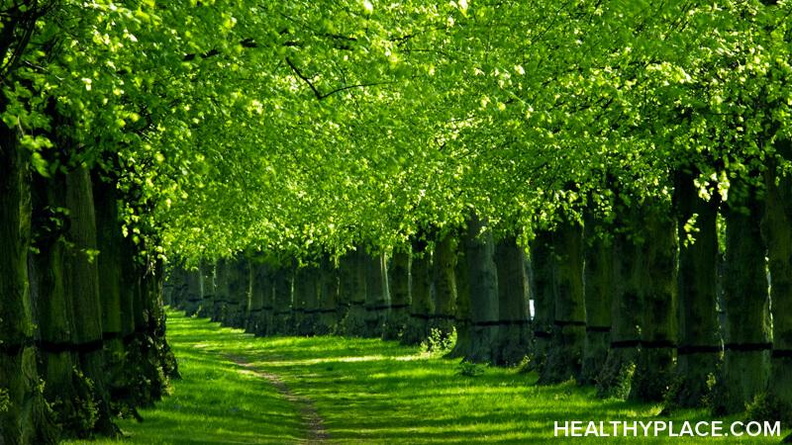 To reduce anxiety, getting out into nature can't be beat. Take charge of your anxiety and wellbeing. Learn how getting into nature benefits your brain. Read on!